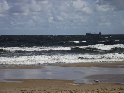 Фото Гданьска: прекрасный вид на море