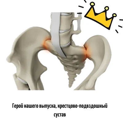 Откройте для себя красоту крестца: Изображения в разных размерах и форматах