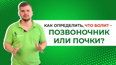 Исследуйте легочную анатомию: Изображение легких