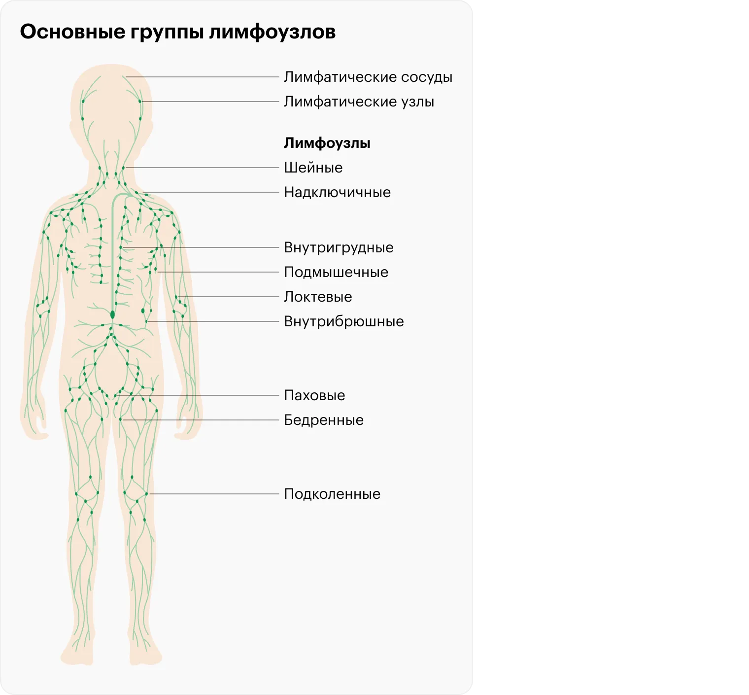 Диагностика 0, 1, 2, 3, 4 стадии рака груди - Клиника Здоровье г. Екатеринбург