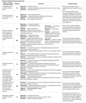 Анатомия лимфатической системы на шее (WebP)