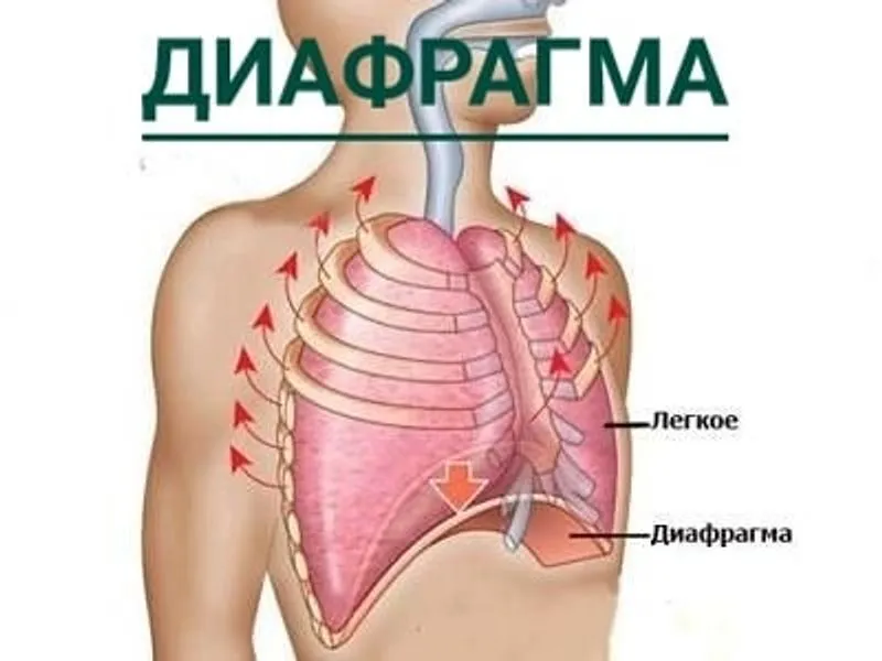 Диафрагма В Фотографии Это