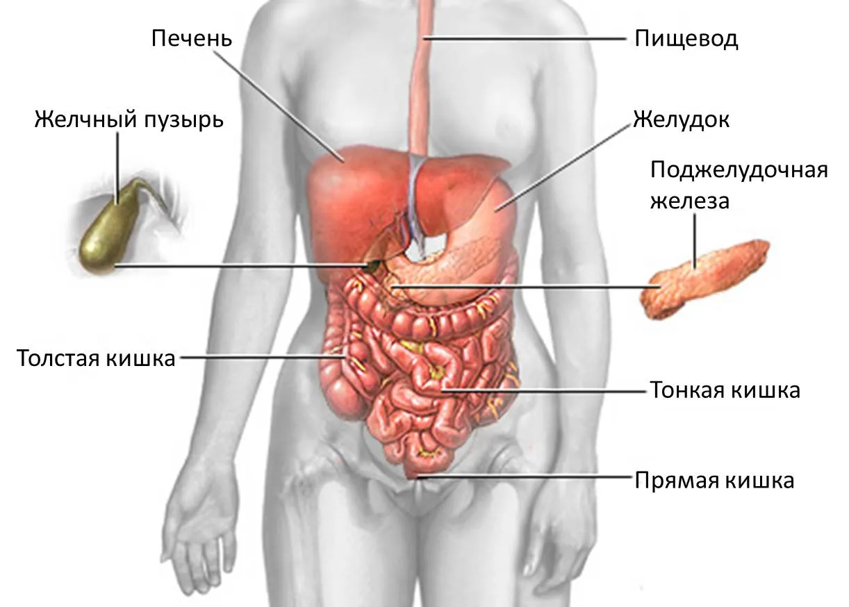 Врачи отделения