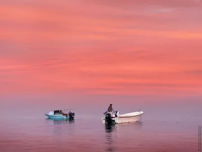 Фотки Красного моря: разнообразие рыб и коралловых рифов