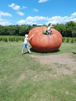 Погружение в природу: фотоэкскурсия на Кудыкину гору