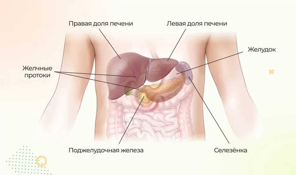 Как определить, что болит поджелудочная железа