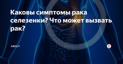 Секреты организма: Селезенка в форматах JPG, PNG, WebP