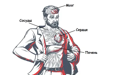 Анатомическое исследование: Секреты сосудов шеи на фото