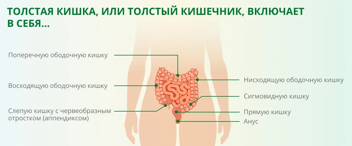 Выпадение прямой кишки