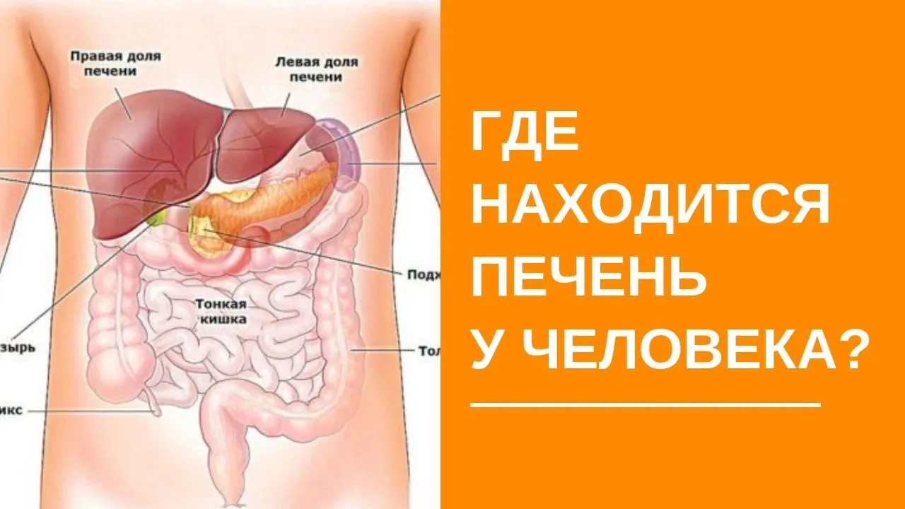 Журнал «Медицина світу» - Журнал для широкого кола лікарів