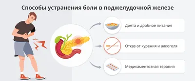 Изучение человеческой анатомии: Местоположение поджелудочной железы