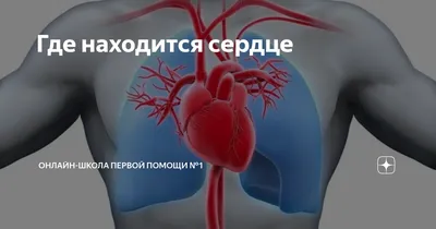 Сердечные контуры в высоком разрешении.