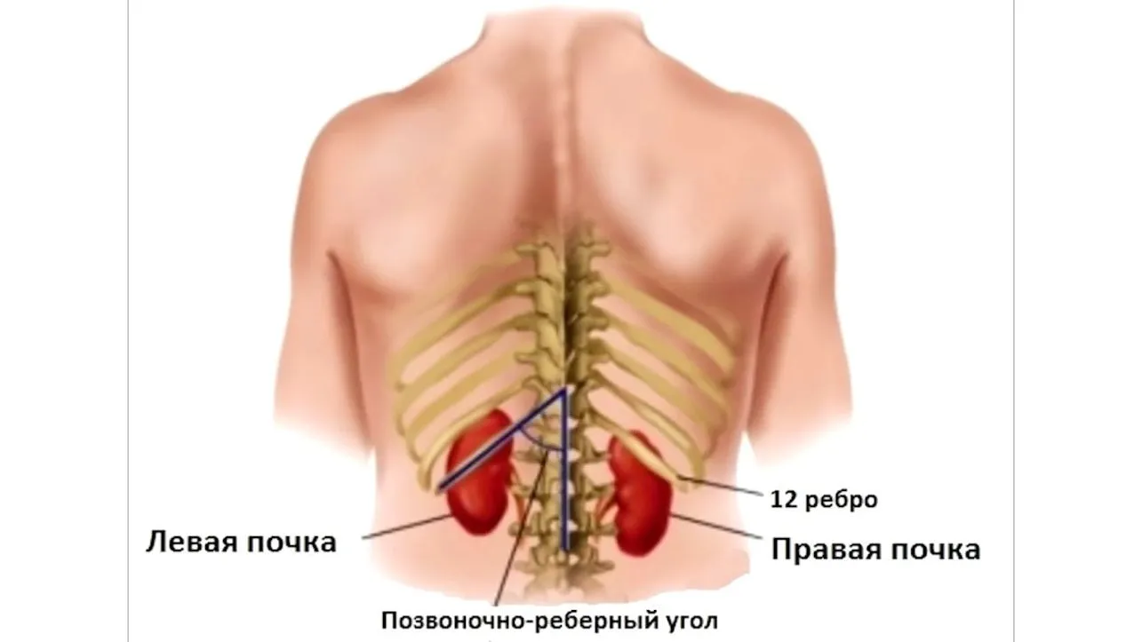 Красивые картинки для профиля