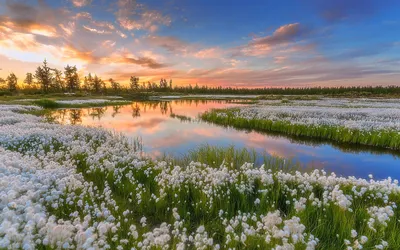 Фотографии весны с возможностью выбора размера