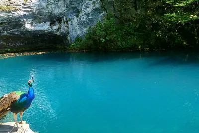 Гегский водопад: фото, захватывающее дух гармонией природы