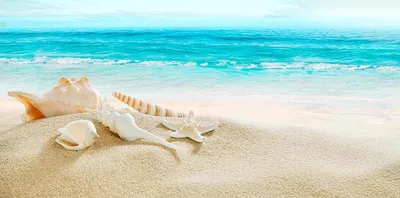 Изображение песчаного пляжа Геленджика в высоком разрешении