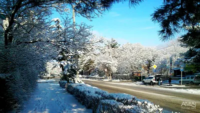 Фотоальбом зимнего Геленджика: 39 красочных снимков