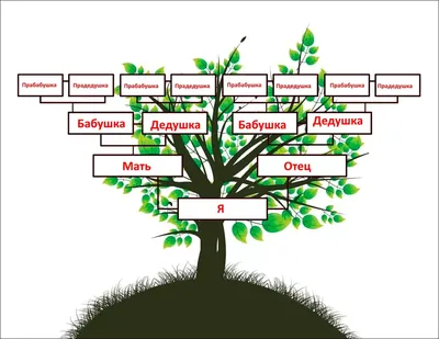 Генеалогическое дерево семьи: Уникальные картинки, достойные скачивания