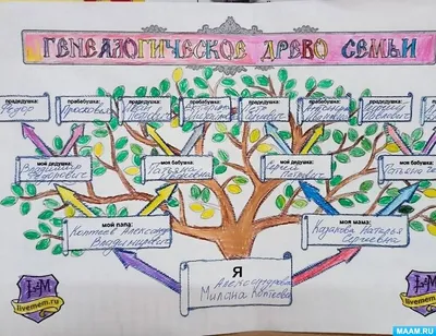История наших корней: Генеалогическое дерево семьи на фото