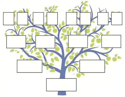 Бесплатные обои с деревьями для генеалогического дерева: полезные шаблоны