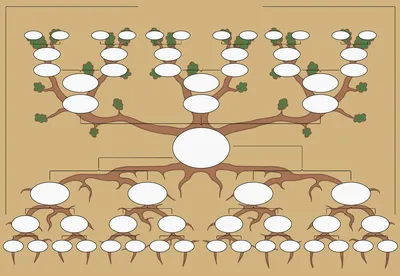 Расшифруйте свою генеалогию с помощью фото Генеалогического дерева шаблона