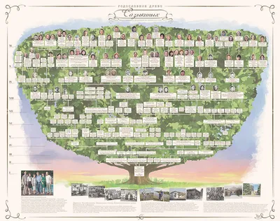 Корни нашей истории: очаровательные фото генеалогического дерева
