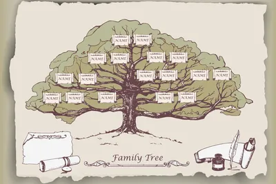 Фотографии генеалогического дерева в стиле картины