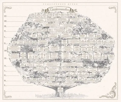 Изучая корни: взгляд на генеалогическое дерево