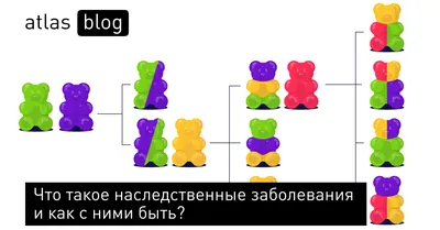 Картинка: Наследственные аномалии человека - PNG формат