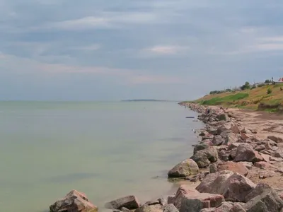 Фото Генического пляжа с яркими цветами