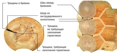 Рисунок дерева в стиле арт