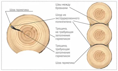 Красивые картинки деревьев для фона