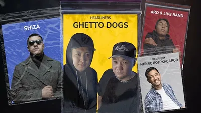 Яркие гетто-собаки в формате JPG