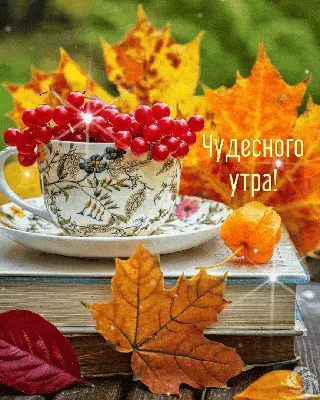 Скачать бесплатно утренний арт в формате webp