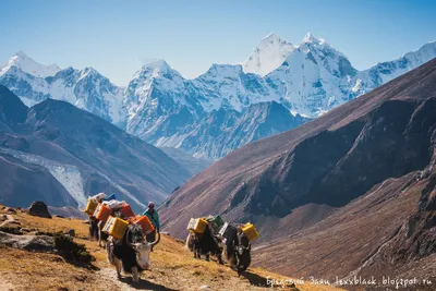 Фото природы Гималайских гор: величие природы в картинках