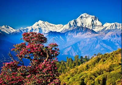 Уникальные обои с изображениями Гималайских гор