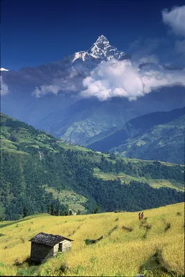 Очарование Гималайских гор в фотографиях, которые исторгают восторг