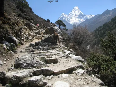 Фотк Гималайских гор, которые оставят вас безмолвными