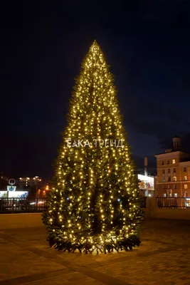 Фото гирлянда для покупки - выберите формат (JPG, PNG, WebP)