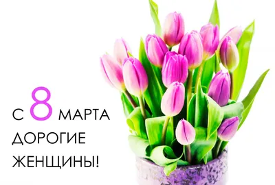 Гламурные картинки 8 марта: выберите формат для скачивания - JPG, PNG, WebP