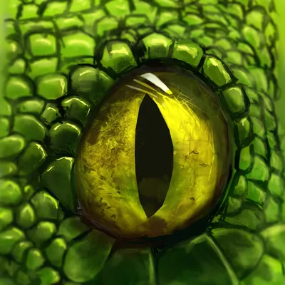 Фото глаз змеи в высоком разрешении