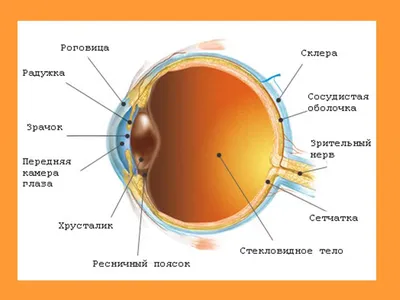 24. Размеры и форматы: фото глазных болезней для скачивания