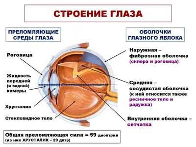 38. Фотоальбом человеческих глазных болезней: выбери свой формат