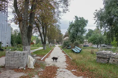 Фото Глинской пустыни: красивые пейзажи в HD