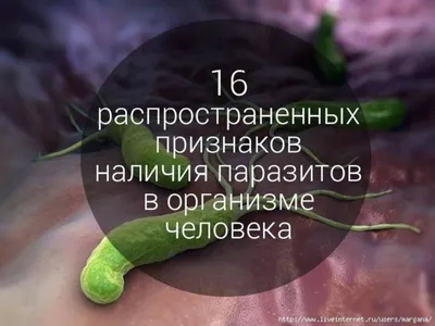 Глисты у Человека: Фото для скачивания в WebP