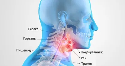 Совершенство в каждом пикселе: Фотка Глотка человека - лучший выбор в PNG