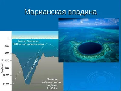 Выбери свой размер: Фотографии океанских подводных пейзажей