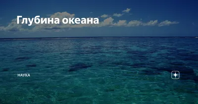 Фото подводной жизни: красочный мир океана в jpg