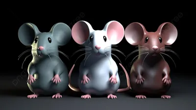Фотография года крысы в формате PNG для использования в разных проектах