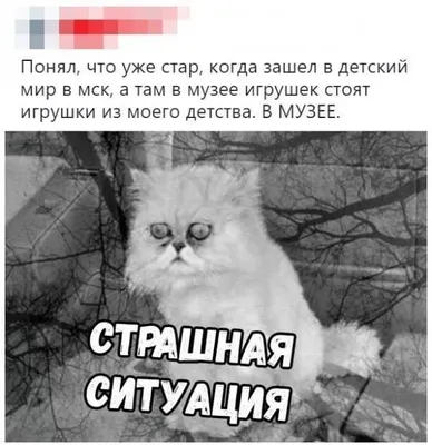 Улыбнитесь смешным гололедом